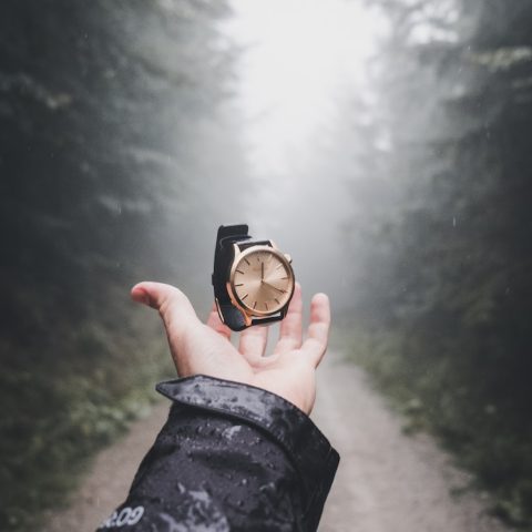 person holding round gold-colored analog watch